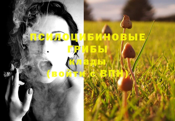 PSILOCYBIN Бронницы